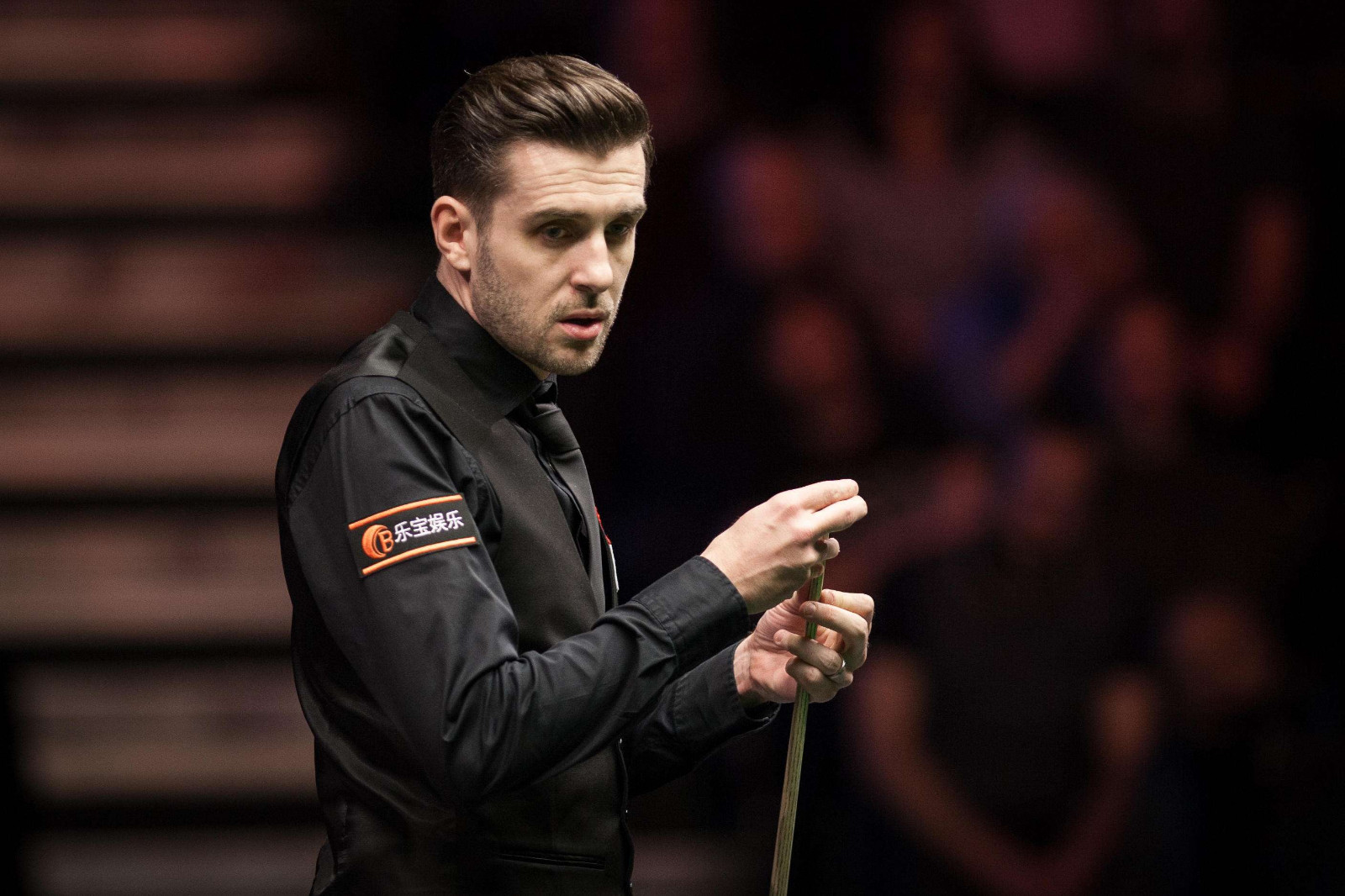 鲜明对比的 鲜明对比的