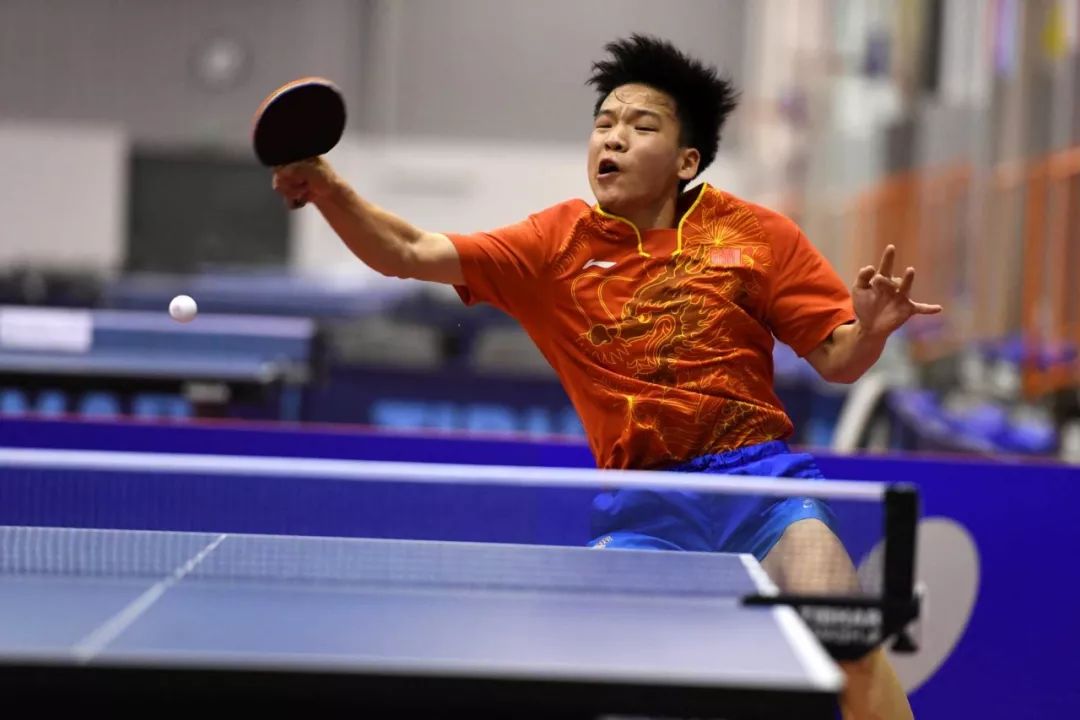 孔帕尼需要 孔帕尼需要