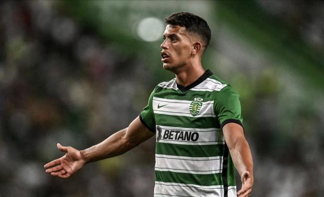 猛的进攻著 猛的进攻著